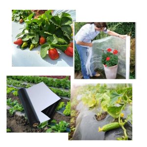 Mulch agrícola 1,4 mts de ancho - tu eliges el largo!