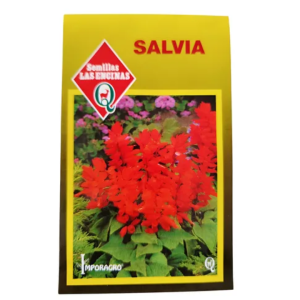 Semillas de Salvia