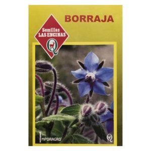 Semillas de Borraja