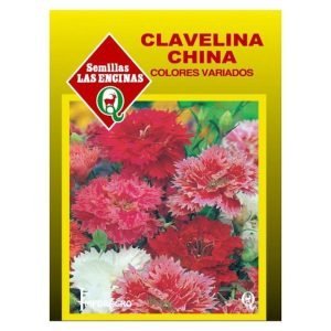 Semillas de Clavelina China