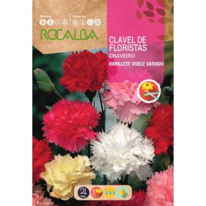 Semillas de Clavel de Florista Rocalba