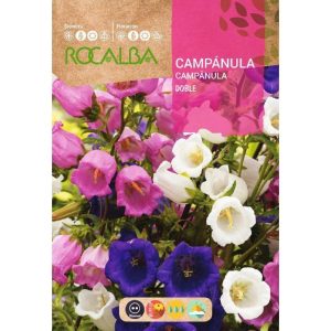Semillas de Campanula Rocalba