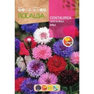 Semillas de Centaurea Rocalba