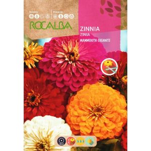 Semillas de Zinnia Rocalba