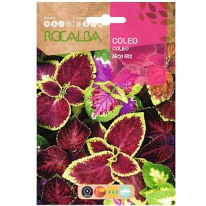 Semillas de Cóleo Rocalba