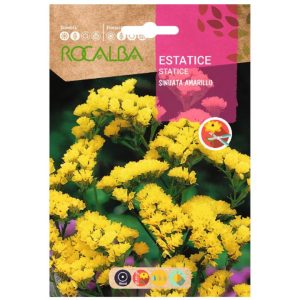 Semillas de Estatice Rocalba