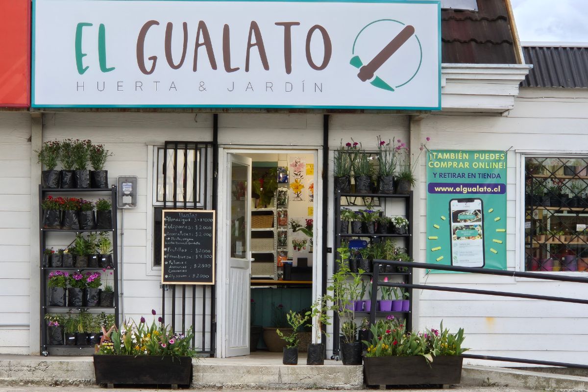 El Gualato, temporada tras temporada